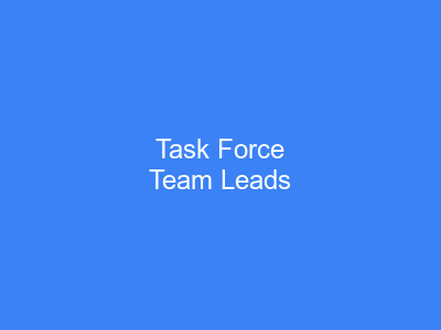 Task Force Team Leads